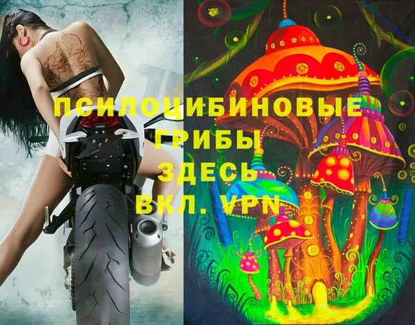 меф Алексин
